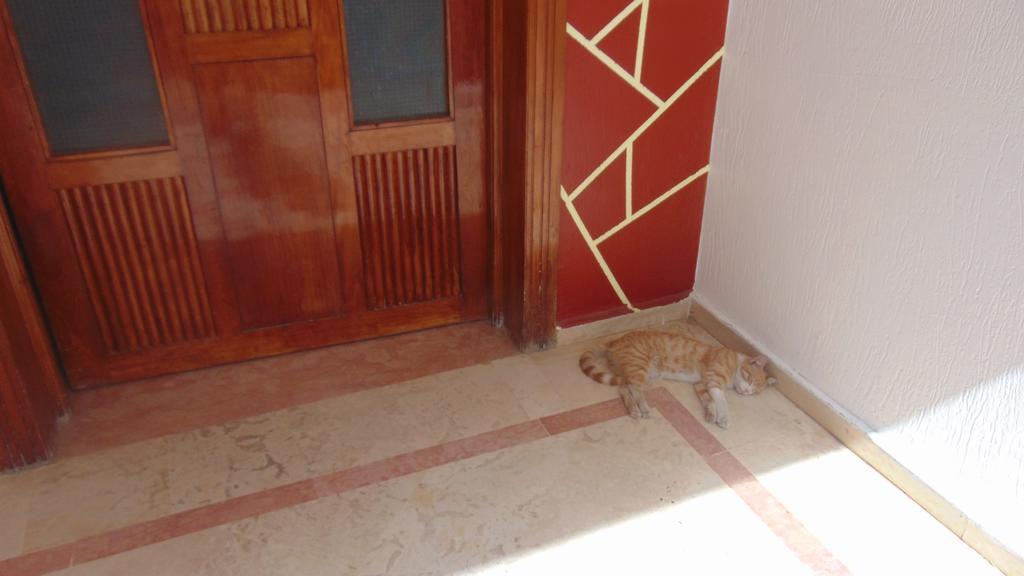 Suite Apartment Fawzi Αγκαντίρ Εξωτερικό φωτογραφία